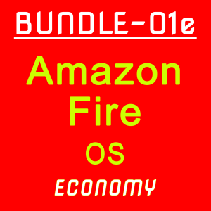 01e-Amazon Fire Bundle